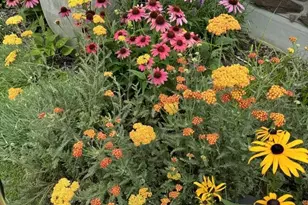 6120 Sledding Pkwy, Mcfarland, WI 53558 - Photo 62