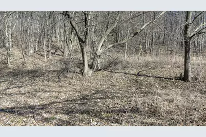 E17497 Gross Valley Lane, Hillsboro, WI 54634 - Photo 38