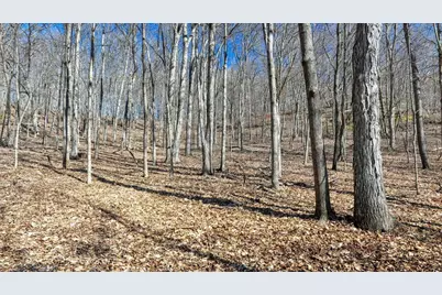 E17497 Gross Valley Lane, Hillsboro, WI 54634 - Photo 42