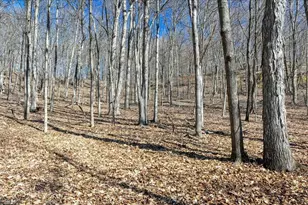 E17497 Gross Valley Ln, Hillsboro, WI 54634 - Photo 42