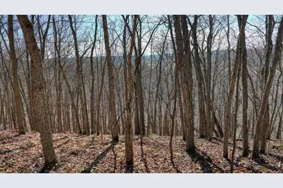 E17497 Gross Valley Lane, Hillsboro, WI 54634 - Photo 28