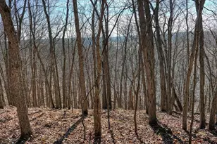 E17497 Gross Valley Ln, Hillsboro, WI 54634 - Photo 28