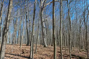 E17497 Gross Valley Ln, Hillsboro, WI 54634 - Photo 8