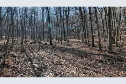 E17497 Gross Valley Lane, Hillsboro, WI 54634 - Photo 52