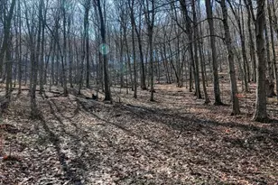 E17497 Gross Valley Ln, Hillsboro, WI 54634 - Photo 52