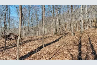 E17497 Gross Valley Lane, Hillsboro, WI 54634 - Photo 44