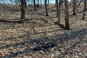 E17497 Gross Valley Ln, Hillsboro, WI 54634 - Photo 34