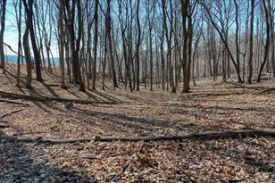 E17497 Gross Valley Ln, Hillsboro, WI 54634 - Photo 6