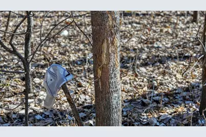 E17497 Gross Valley Lane, Hillsboro, WI 54634 - Photo 4