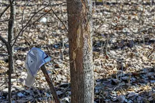 E17497 Gross Valley Ln, Hillsboro, WI 54634 - Photo 4