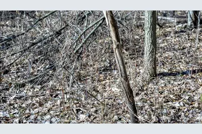 E17497 Gross Valley Lane, Hillsboro, WI 54634 - Photo 40