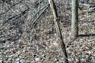 E17497 Gross Valley Ln, Hillsboro, WI 54634 - Photo 40