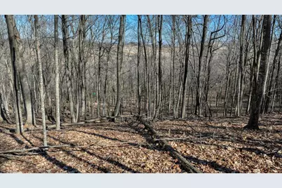 E17497 Gross Valley Lane, Hillsboro, WI 54634 - Photo 48