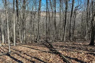 E17497 Gross Valley Ln, Hillsboro, WI 54634 - Photo 48