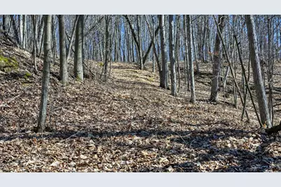 E17497 Gross Valley Lane, Hillsboro, WI 54634 - Photo 26