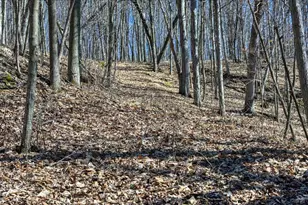 E17497 Gross Valley Ln, Hillsboro, WI 54634 - Photo 26