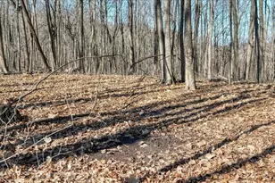 E17497 Gross Valley Ln, Hillsboro, WI 54634 - Photo 46