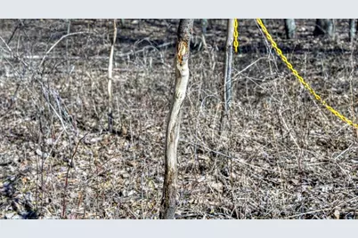 E17497 Gross Valley Lane, Hillsboro, WI 54634 - Photo 30