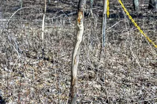 E17497 Gross Valley Ln, Hillsboro, WI 54634 - Photo 30