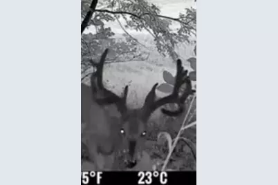 E7748 Mill Road, Spring Green, WI 53588 - Photo 74