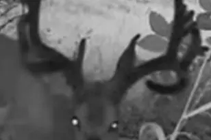 E7748 Mill Rd, Spring Green, WI 53588 - Photo 74