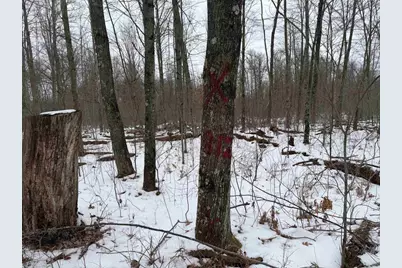 W6881 12th Street, Necedah, WI 54646 - Photo 14