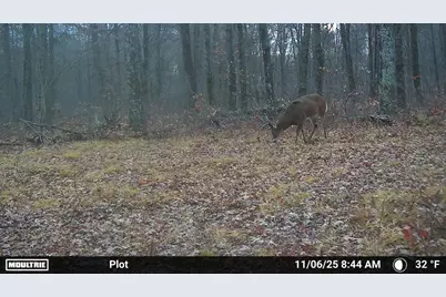 W6881 12th Street, Necedah, WI 54646 - Photo 42