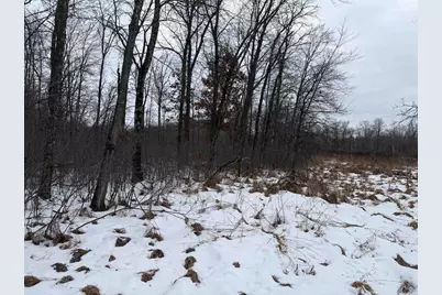 W6881 12th Street, Necedah, WI 54646 - Photo 8