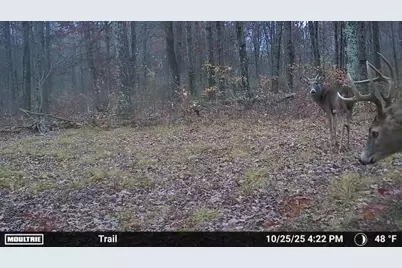 W6881 12th Street, Necedah, WI 54646 - Photo 44