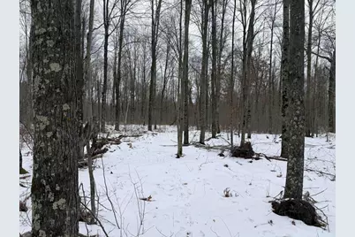 W6881 12th Street, Necedah, WI 54646 - Photo 10