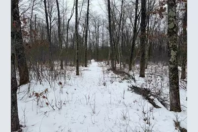 W6881 12th Street, Necedah, WI 54646 - Photo 4