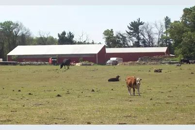 N6702 12th Road, Montello, WI 53949 - Photo 22