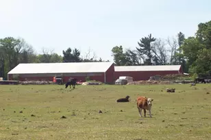 N6702 12th Rd, Montello, WI 53949 - Photo 22