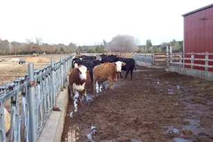 N6702 12th Rd, Montello, WI 53949 - Photo 10