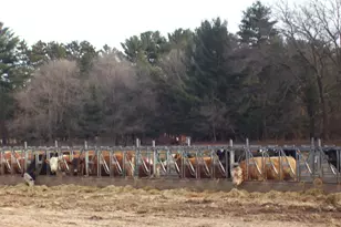 N6702 12th Rd, Montello, WI 53949 - Photo 12