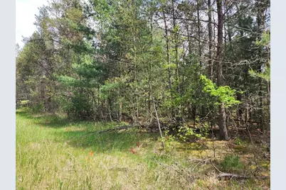 Lot 303 Cypress Drive, Arkdale, WI 54613 - Photo 4