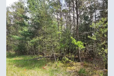 Lot 303 Cypress Drive, Arkdale, WI 54613 - Photo 2