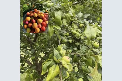 60439 Fairway Court, Prairie Du Chien, WI 53821 - Photo 8