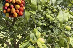 60439 Fairway Ct, Prairie Du Chien, WI 53821 - Photo 8