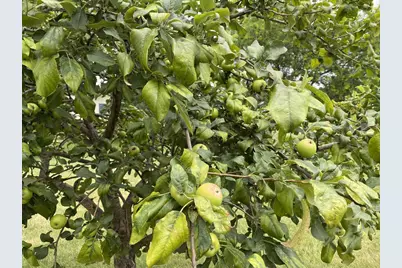 60439 Fairway Court, Prairie Du Chien, WI 53821 - Photo 44