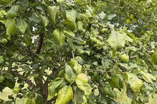 60439 Fairway Ct, Prairie Du Chien, WI 53821 - Photo 44