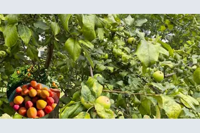 60439 Fairway Court, Prairie Du Chien, WI 53821 - Photo 54