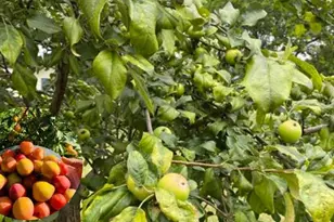 60439 Fairway Ct, Prairie Du Chien, WI 53821 - Photo 54