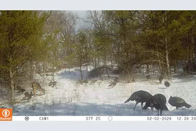 342 Dyke Avenue, Grand Marsh, WI 53936 - Photo 82