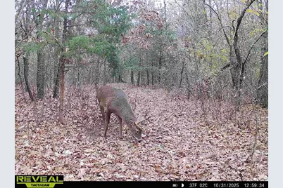 342 Dyke Avenue, Grand Marsh, WI 53936 - Photo 90