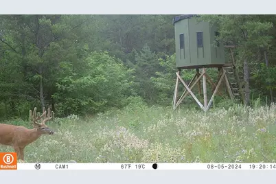 342 Dyke Avenue, Grand Marsh, WI 53936 - Photo 36