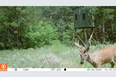 342 Dyke Avenue, Grand Marsh, WI 53936 - Photo 64