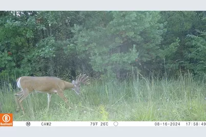 342 Dyke Avenue, Grand Marsh, WI 53936 - Photo 54