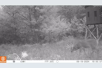 342 Dyke Avenue, Grand Marsh, WI 53936 - Photo 74