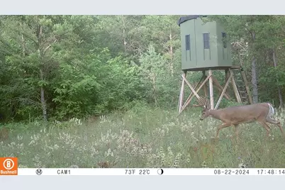 342 Dyke Avenue, Grand Marsh, WI 53936 - Photo 70